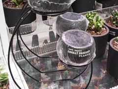 -KKV(深圳宏发大仟里店)