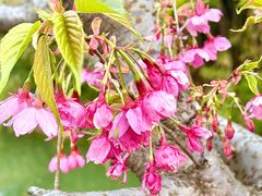 -梁鸿国家湿地公园