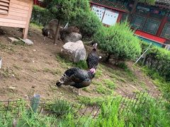 -有喜胶东小馆(超极合生汇太申祥和店)