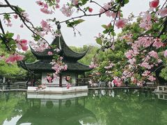 -西园戒幢律寺