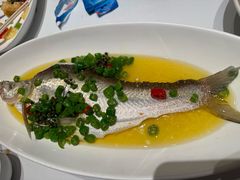 青花椒蒸白水鱼-荣兴酒家(徐家汇店)