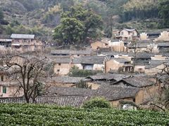 -杨家堂村