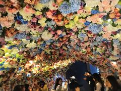 -第九届妖漫动漫游戏展曁七夕情人祭