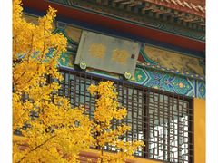 -正觉寺
