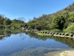 -花溪公园