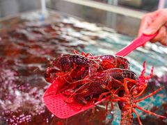 -巽寮印象美食部落餐厅·海鲜·地方特色菜(惠州体验店)