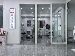 -爱洗澡的猫(望京店)