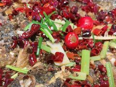 -老板恋上鱼(恒隆广场店)