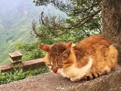 -九华山风景区