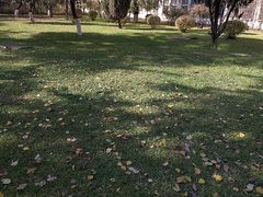 android_upload_pic-辽宁大学(崇山校区)