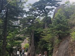 -黄山玉屏楼宾馆餐厅