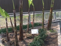 -上海多利农业发展有限公司