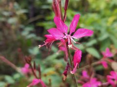 -四川大学(华西校区)