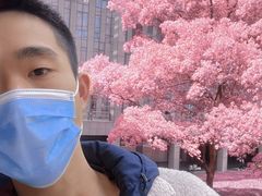 -杭州花家山庄