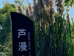 -长兴太湖图影湿地文化园
