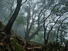 -萍乡武功山风景名胜区