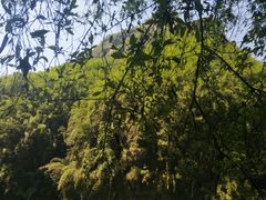 -阿依河景区