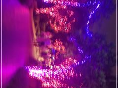 -昆山城市生态森林公园