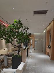 -半岛故事·法儿曼抗衰·indiba中心