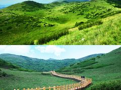 -秦岭风景区