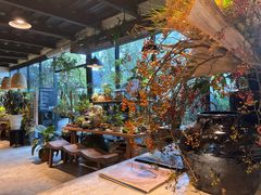 -自由生长植物工作室(深港花卉中心店)