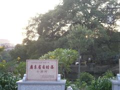 -小洲村