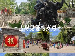 -大槐树寻根祭祖园