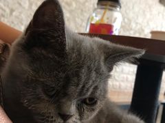 -平行世界·猫咖(首经贸店)