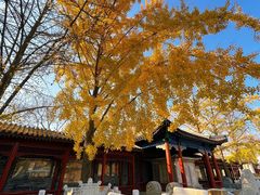 -北京石刻艺术博物馆(五塔寺)