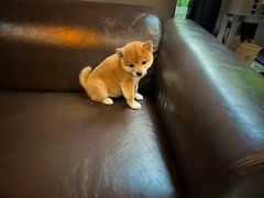 -宠颐生动物医院·小陆分院