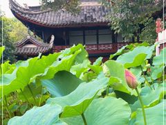 -桂湖森林公园