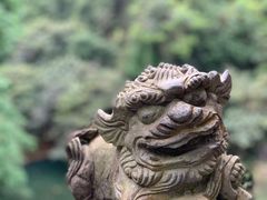 -鼎湖山风景区