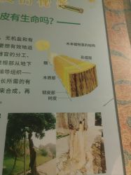 -文旺阁亲子手工DIY木作博物馆
