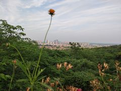-南京市江宁方山