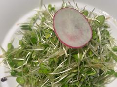-解家河南菜(金水路店)
