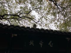 -白帝城·瞿塘峡景区