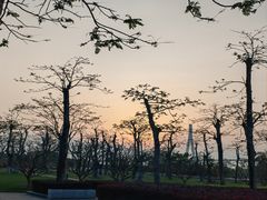 -芒洲湿地公园