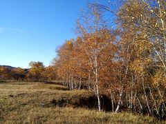 -塞罕坝国家级自然保护区