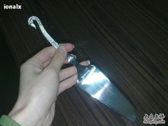 -BLACKSWAN黑天鹅(环球店)