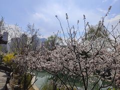 -迎泽公园