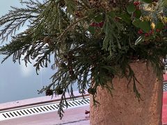 -曲廊院(东四十一条店)