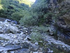-少华山国家森林公园