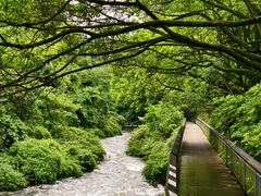 -阿哈湖国家湿地公园