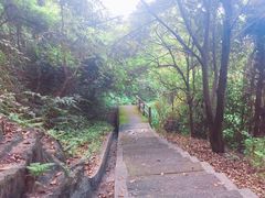 -广州市帽峰山景区