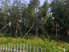 -回龙观体育文化公园