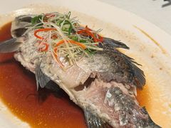 -寻味顺德·顺峰山庄(大良店)