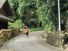 -高荡千年布依古寨旅游景区