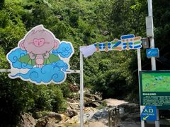-南海湾森林生态园