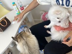 -怪兽屋·羊驼·猫咖·狗咖(俊华广场店)