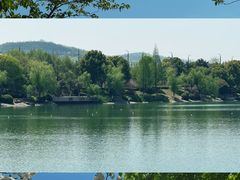 -羊山湖公园